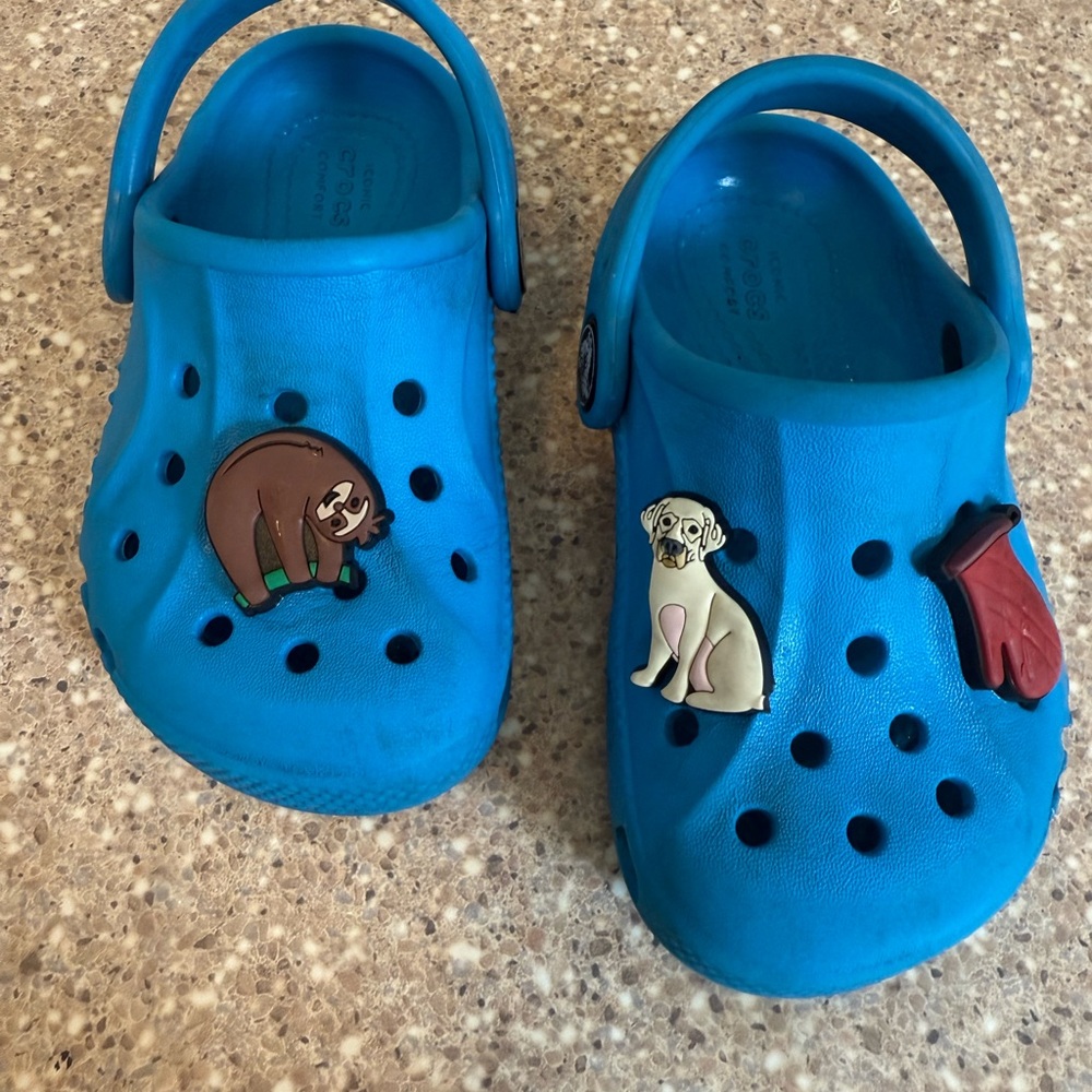 Blue Clogs with Animal Charms